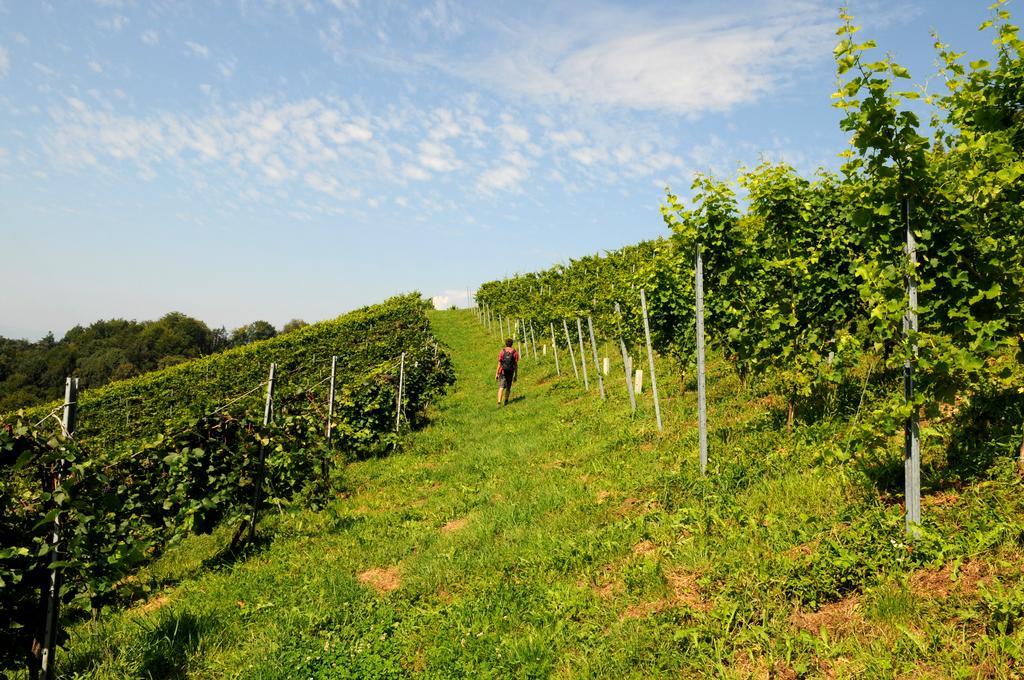 Weingut Winzerzimmer Rothschaedl Leutschach Exterior photo