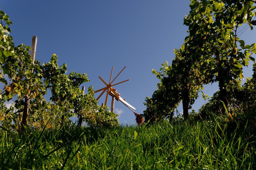 Weingut Winzerzimmer Rothschaedl Leutschach Exterior photo