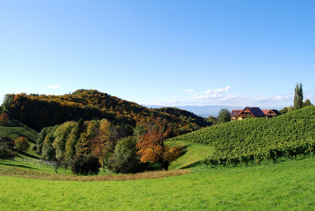 Weingut Winzerzimmer Rothschaedl Leutschach Exterior photo